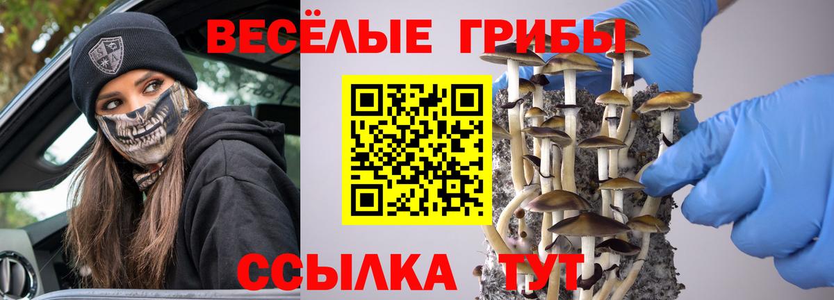 Псилоцибиновые грибы Psilocybe Батайск