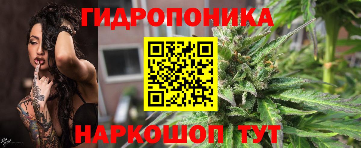 Канабис план  Бошки Шишки гибрид  Батайск  Марихуана сатива  Вход с VPN 